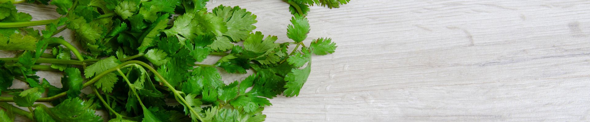 Herbs